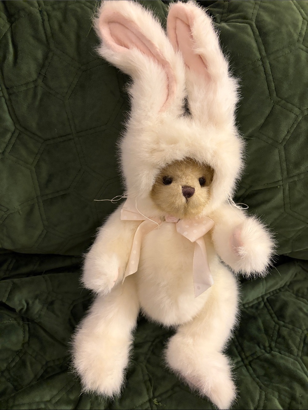 Bearington Collection “The Bears a Hare” costume Bear Plush. 14” excellent Con.